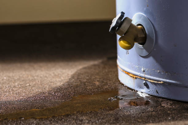 Best Fire Damage Restoration  in Yermo, CA