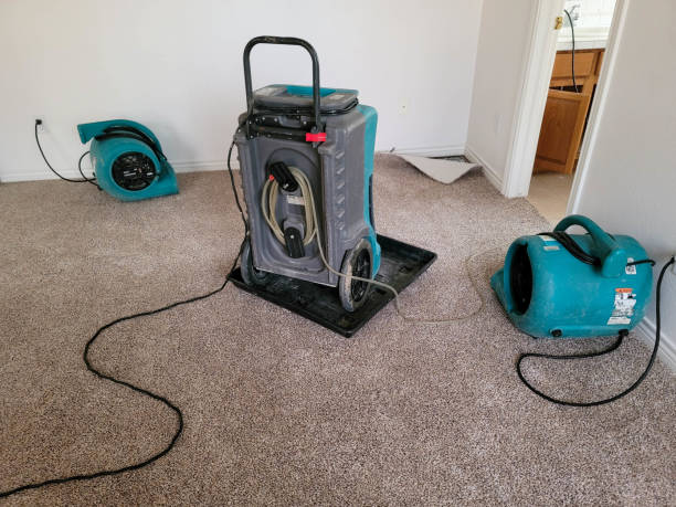 Best Water damage contractors near me  in Yermo, CA