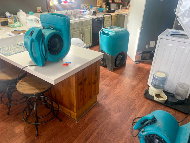 Best Professional water damage repair  in Yermo, CA