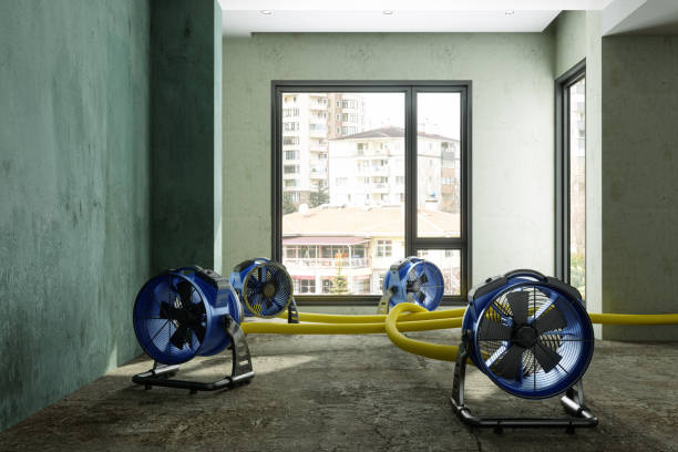 Best Water damage restoration near me  in Yermo, CA