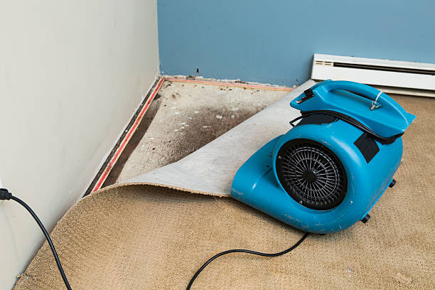 Best Water damage mitigation services  in Yermo, CA